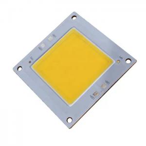 customized light chip 50w 100w 200w 300w cob led module